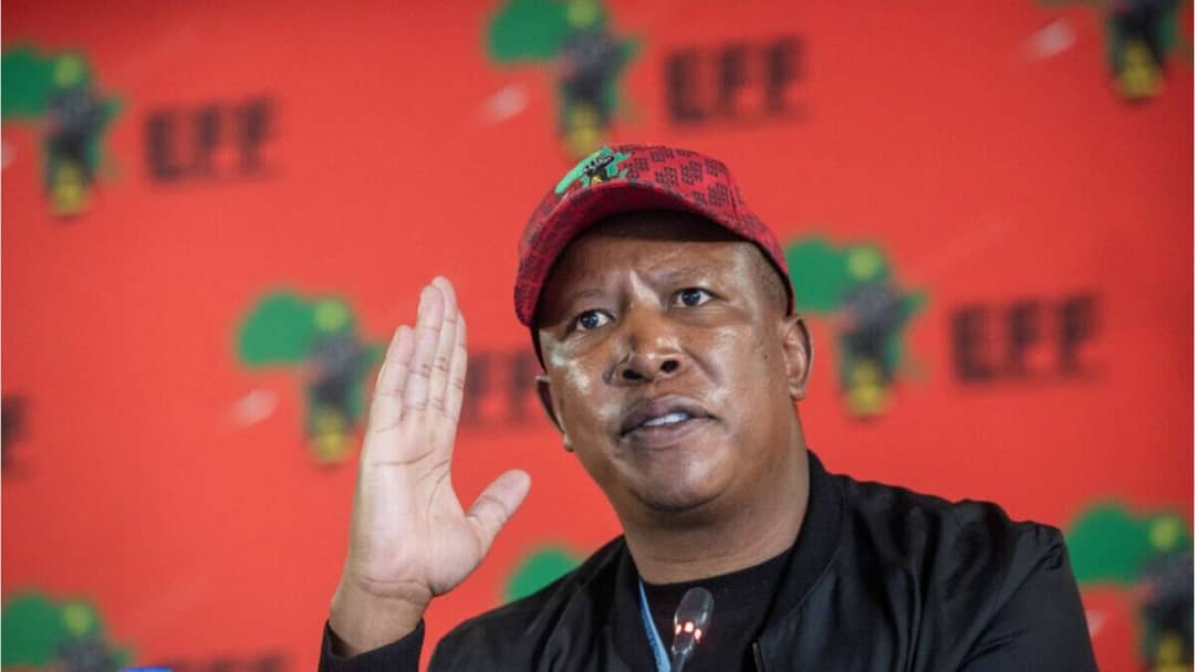 The Naked Truth Of Malema’s EFF